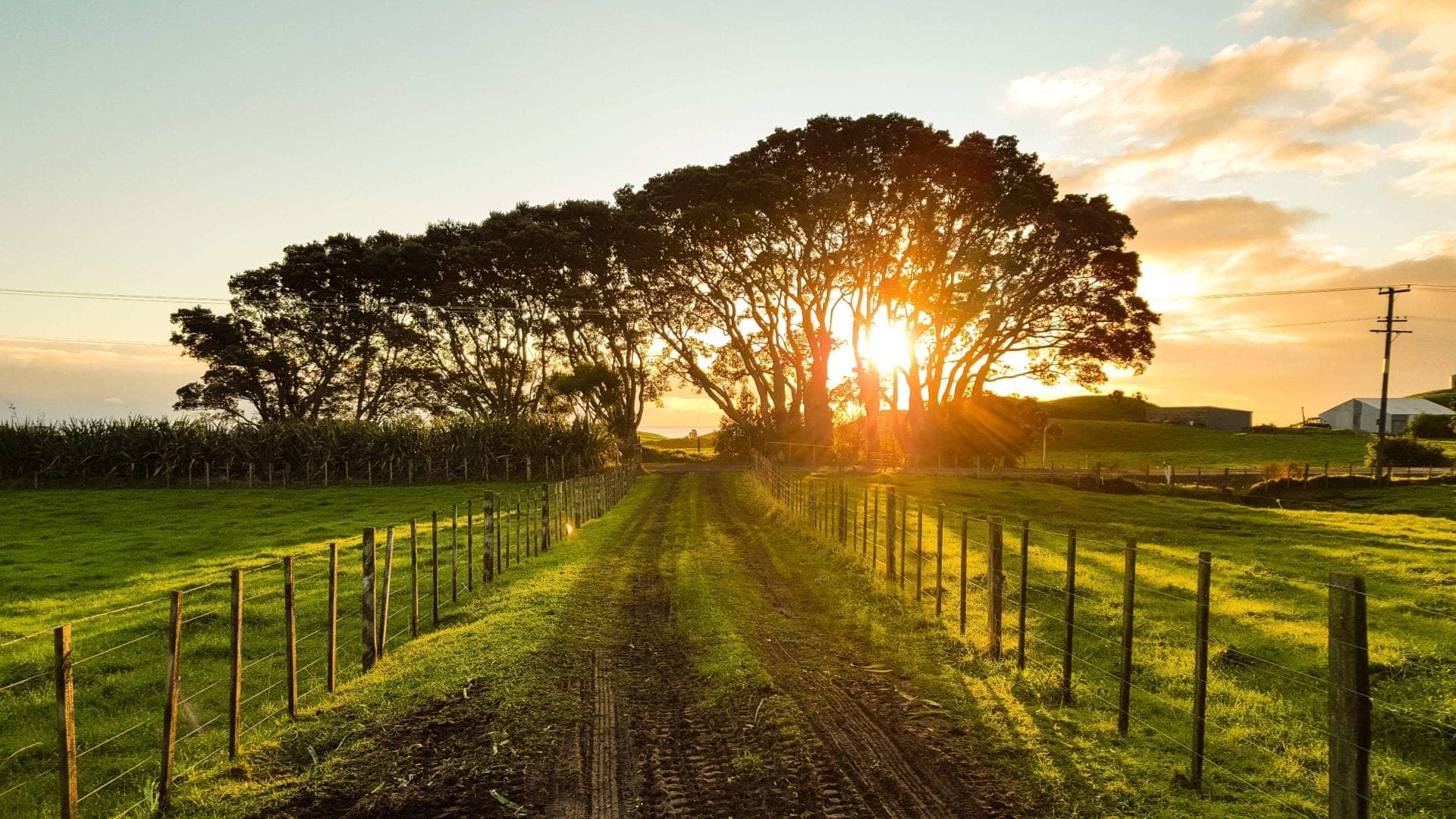 Finding A Business Lawyer In Regional Australia