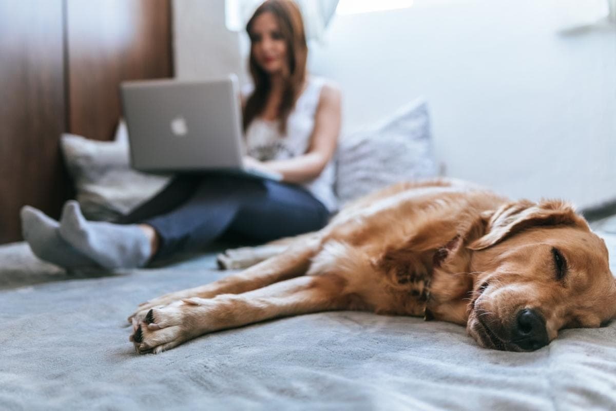 Consent To Release Information Form: When And How To Use It