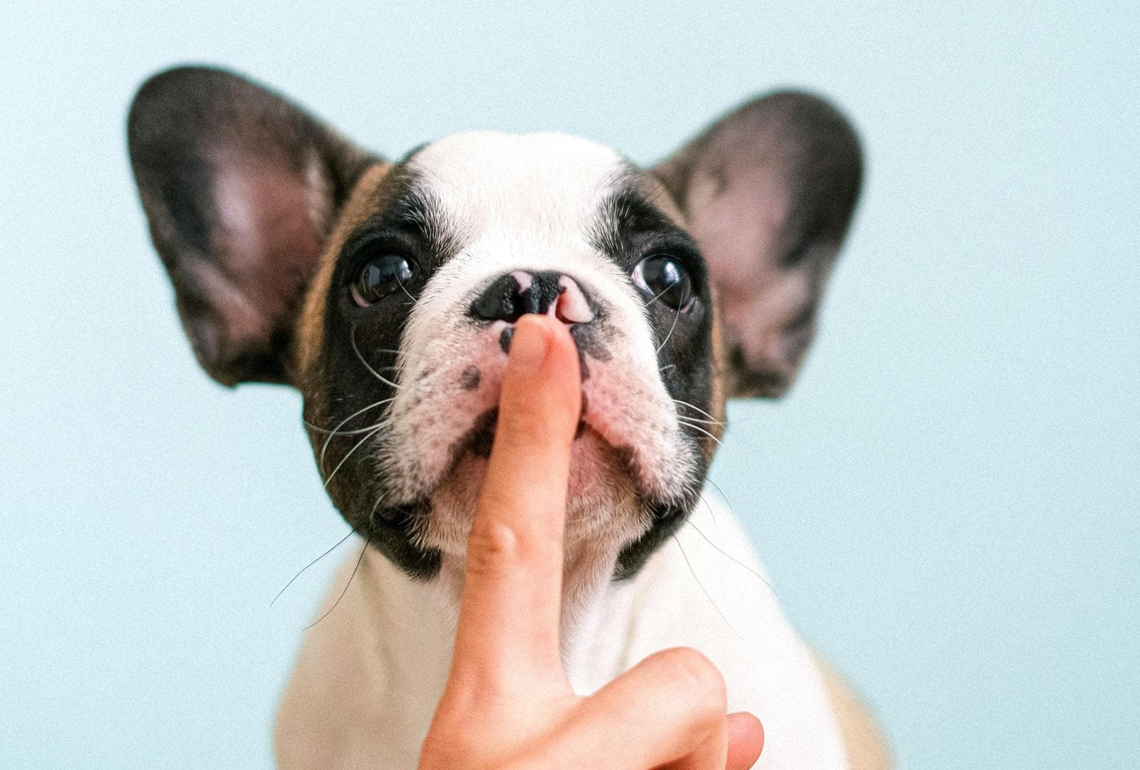 Difference Between Privacy And Confidentiality In Australia