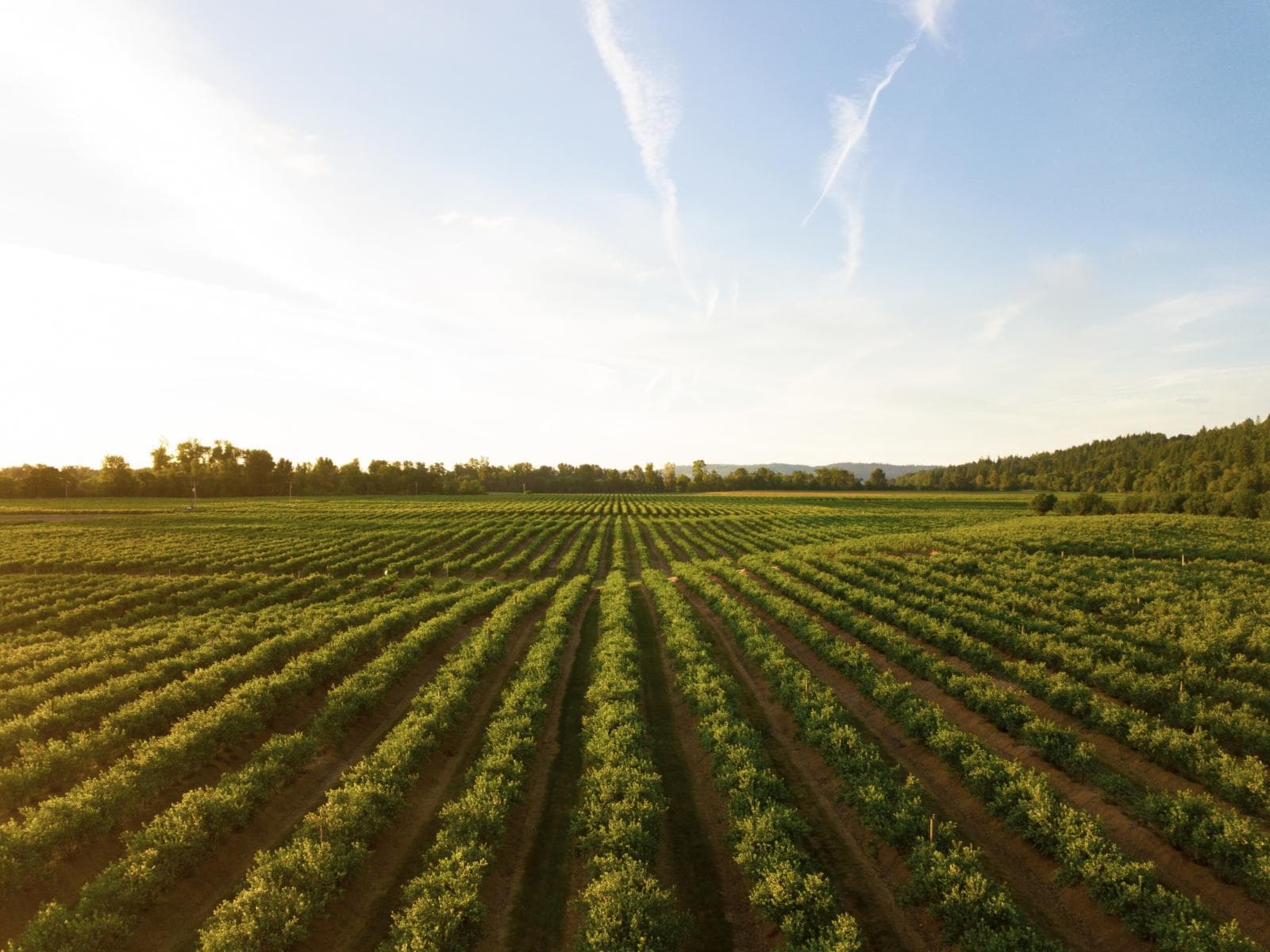 An Employer’s Guide To Garden Leave (2026 Updated)