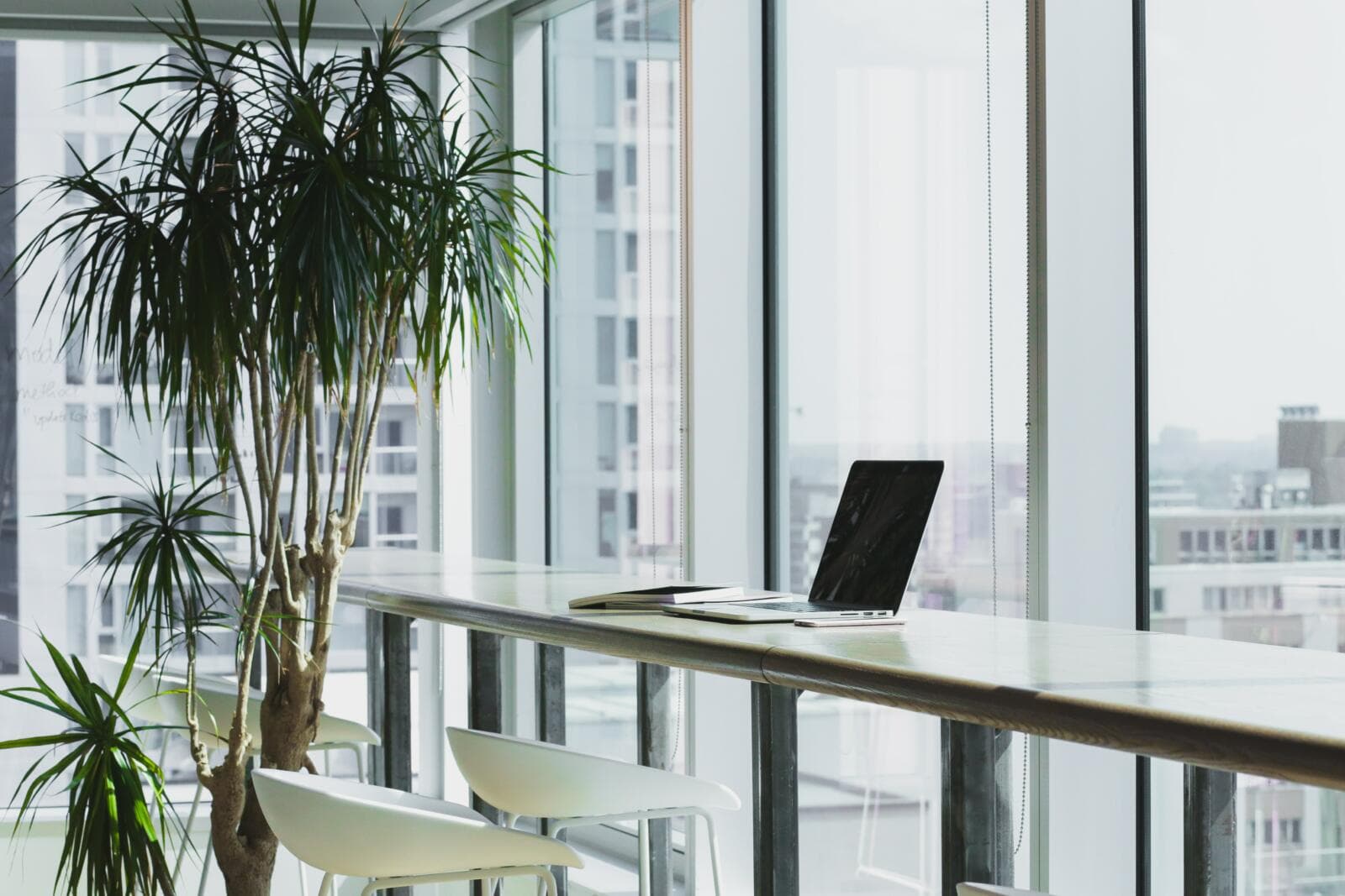 Can You Lie on Your Resume? What Employers Should Know in Australia