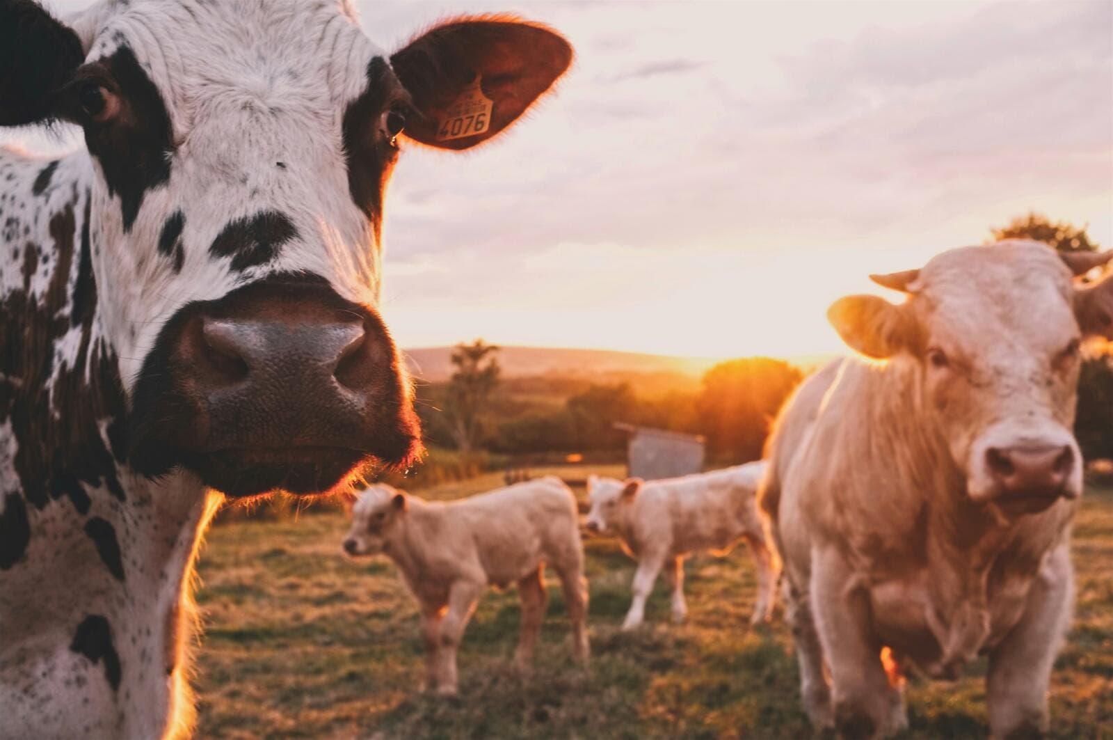 How To Start An Agricultural Consultant Business In 2026