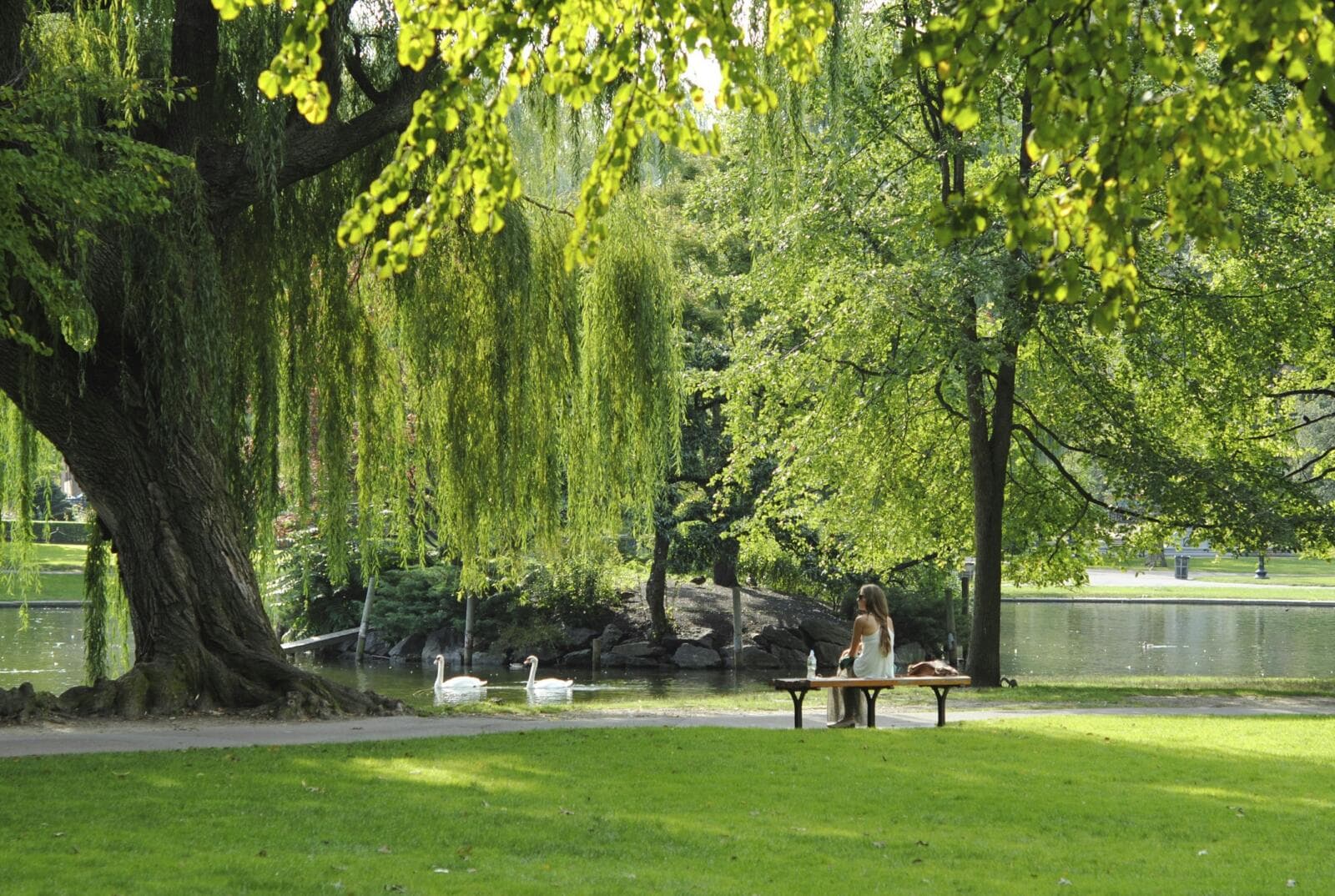 How To Start A Landscaping Business In 2026