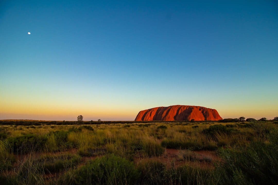 AI Legal Advice in Australia: What Businesses Should Know
