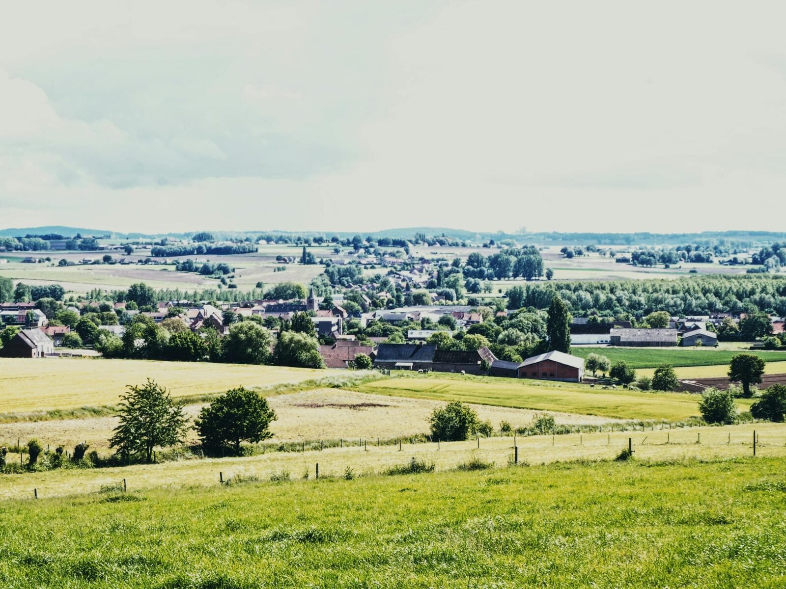 Legal Guide For Small Businesses In Shepparton: Expert Local Advice