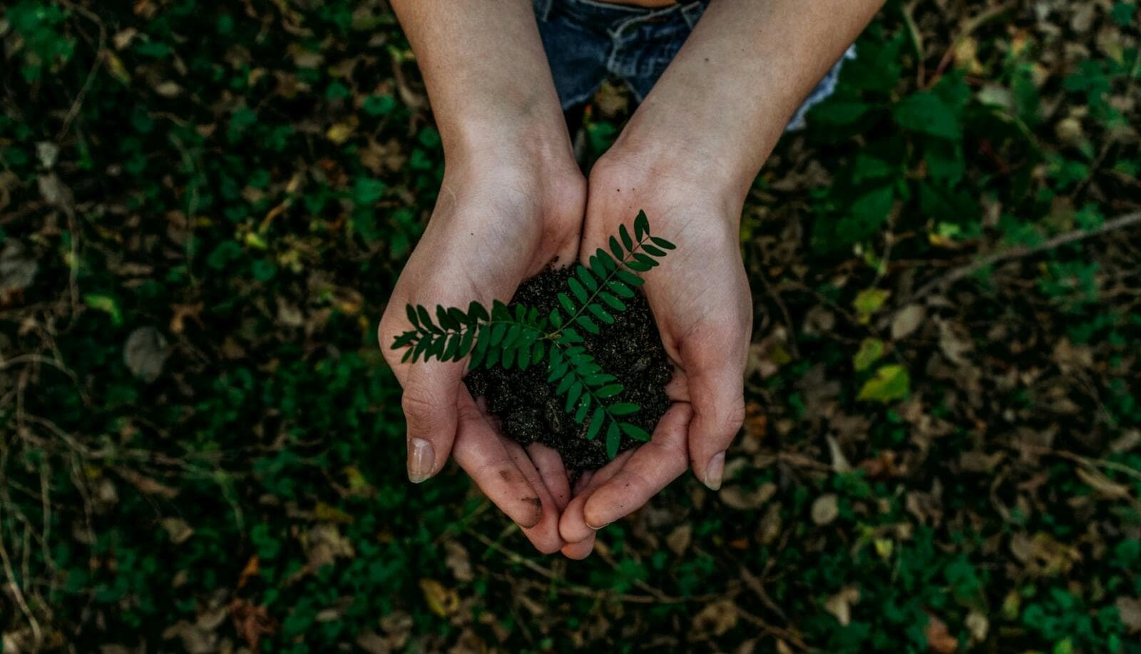 Corporate Social Responsibility (CSR) Explained for Australian Businesses