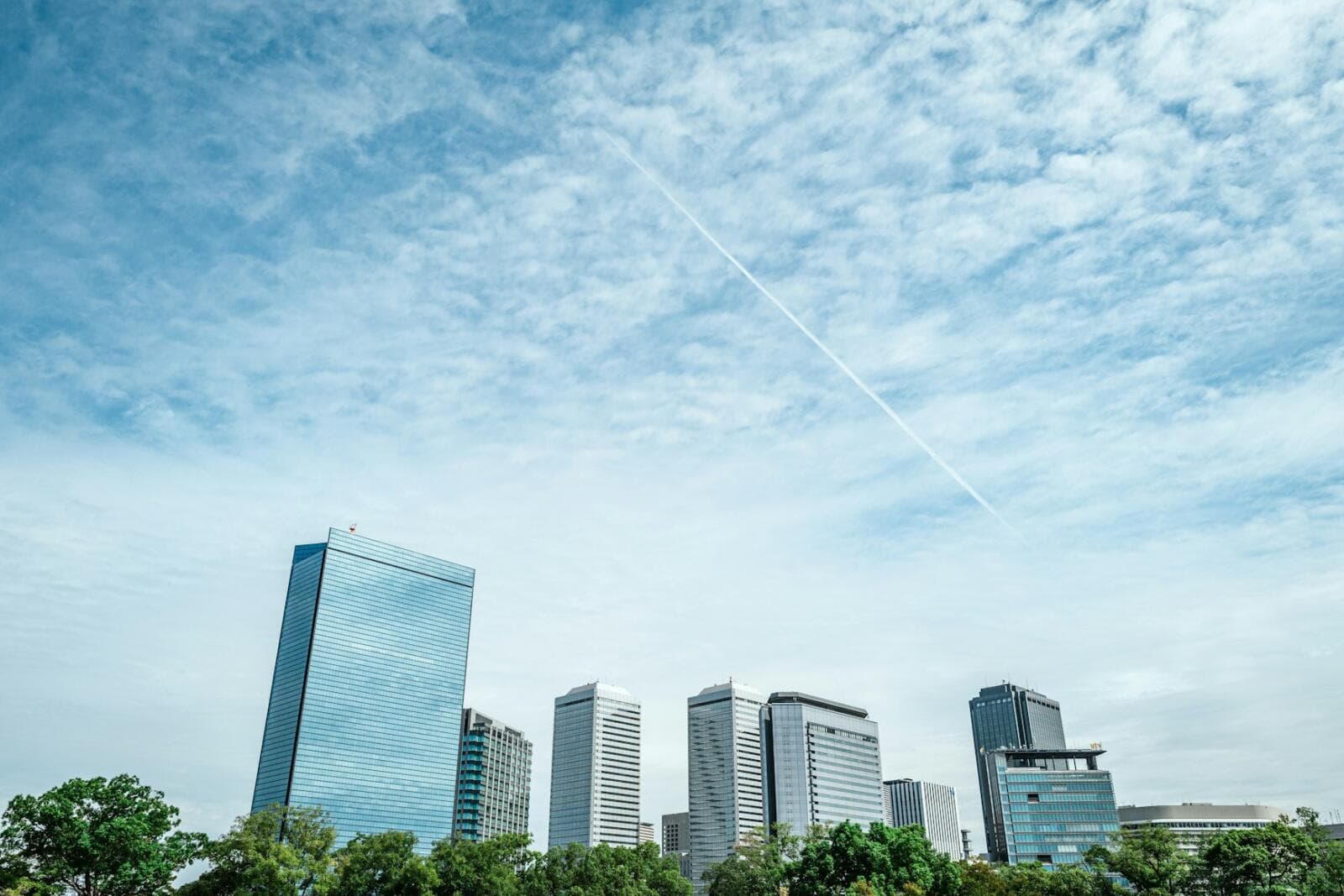 Establishing a Holding Company in Australia: Legal Steps