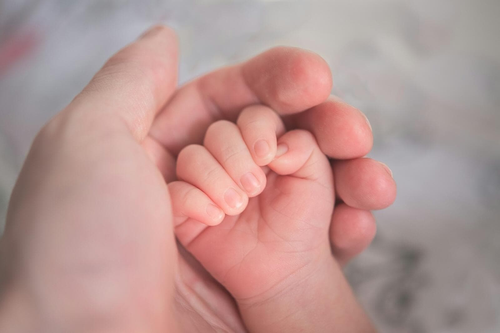 Baby Priya’s Law: New Fair Work Act Protections for Grieving Parents
