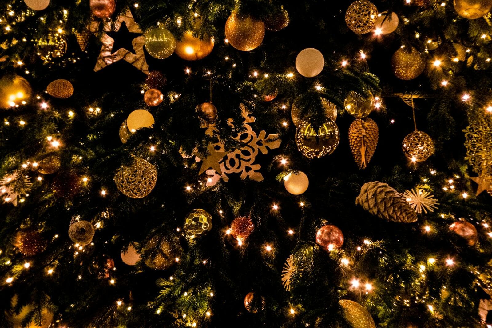 Legal Naughty vs Nice: A Christmas Guide for Small Businesses in Australia